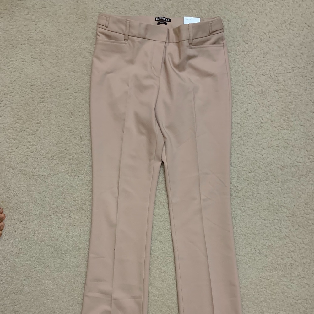 Express Columnist Pants